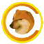 CHEEMS