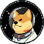 Doge-1