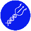 SCI