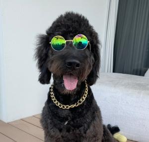 Pablo