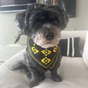 WINNIE