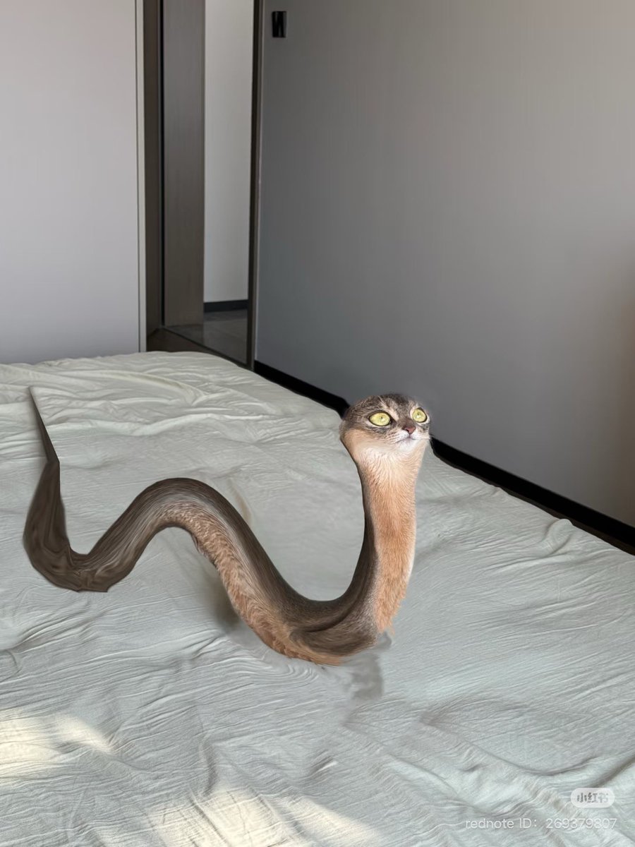 snat