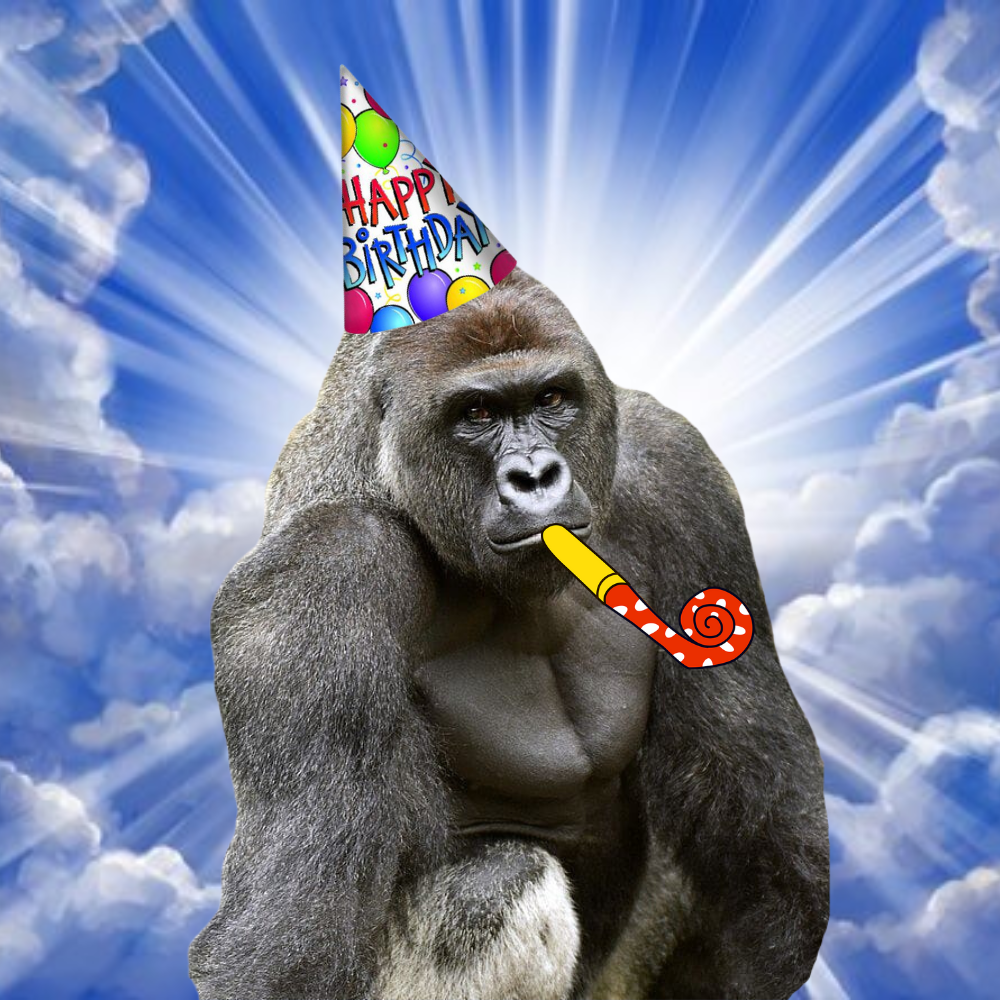 HARAMBEDAY