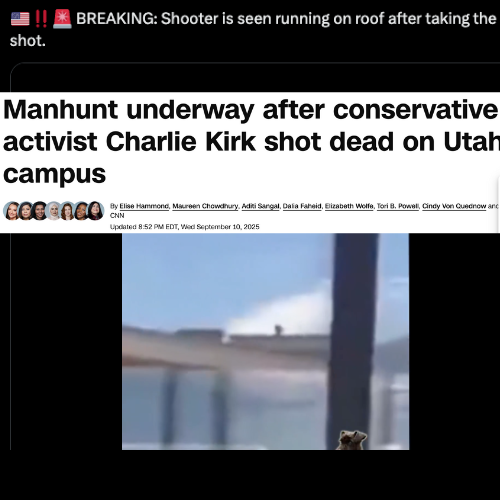 MANHUNT