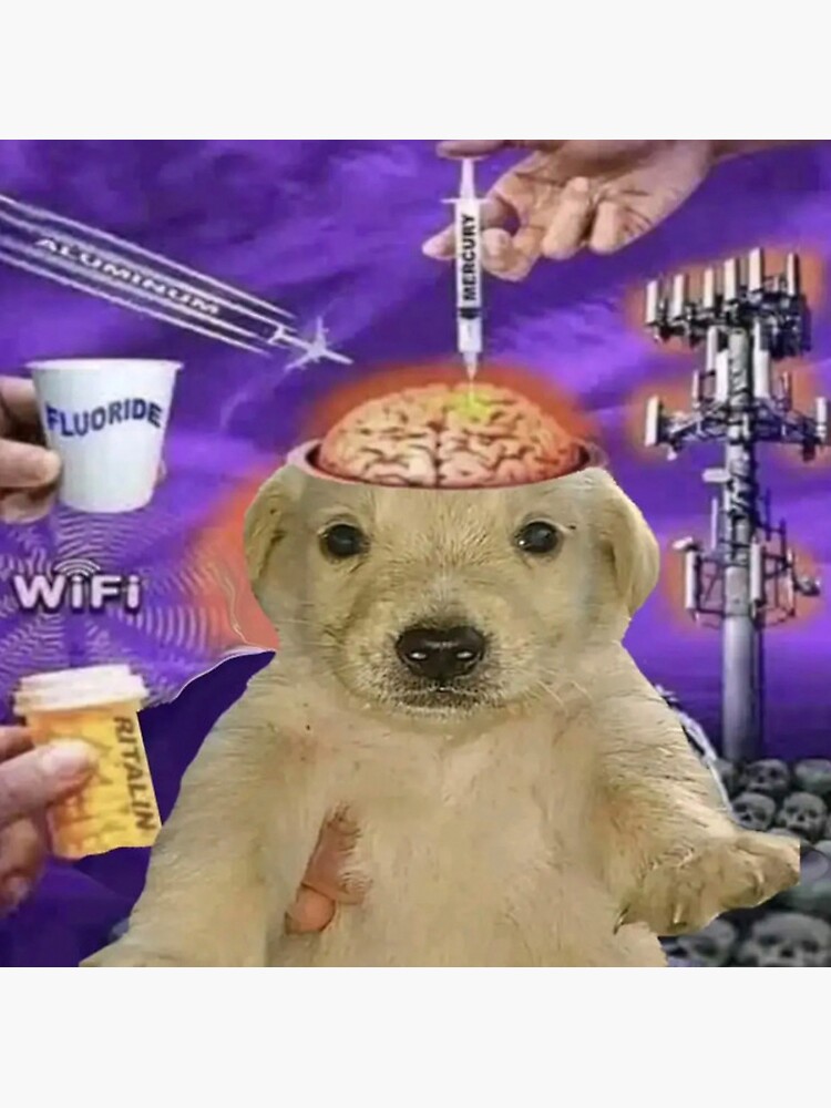 BRAINROT