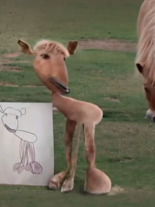 Drawings