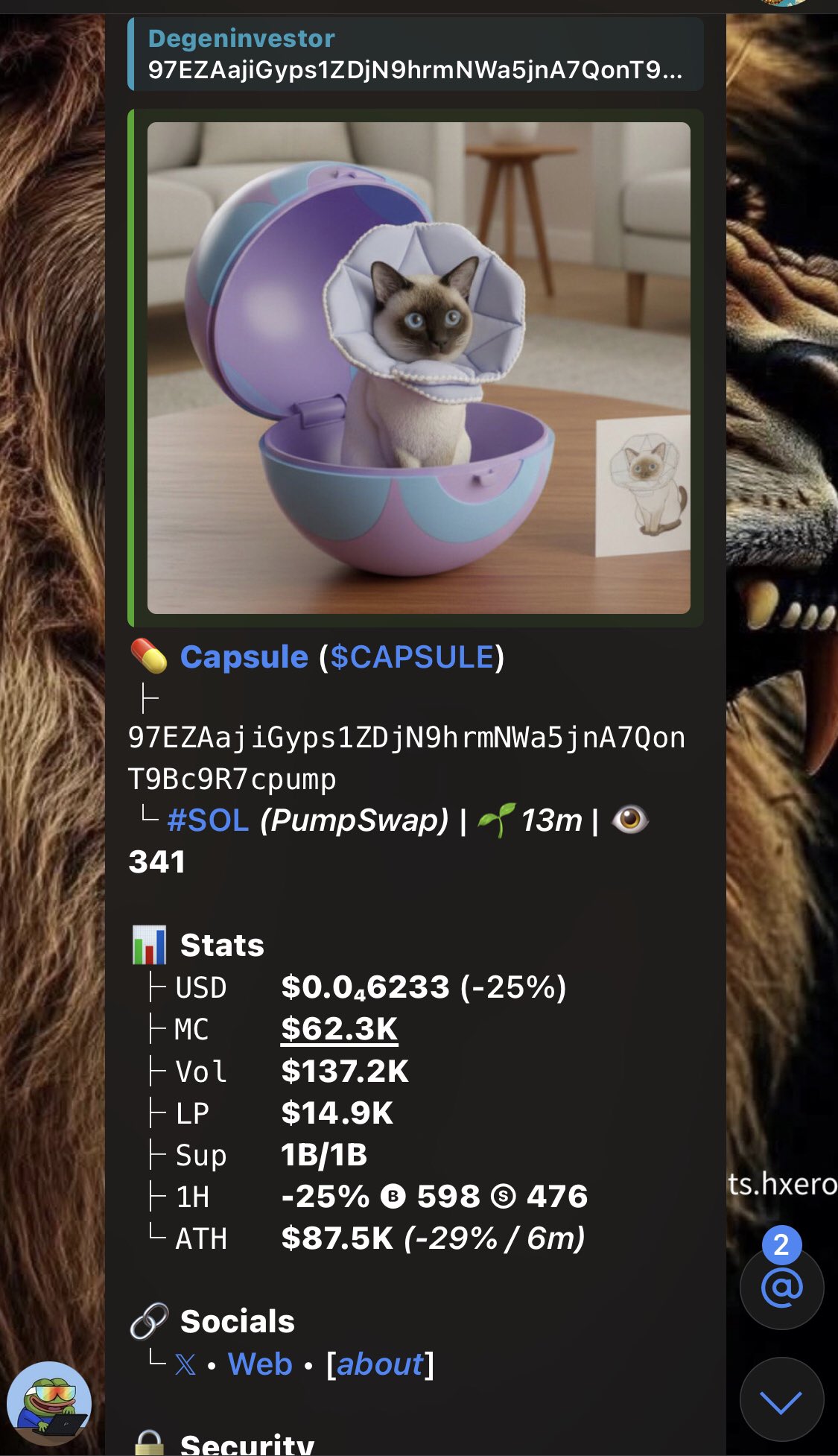 Capsulify