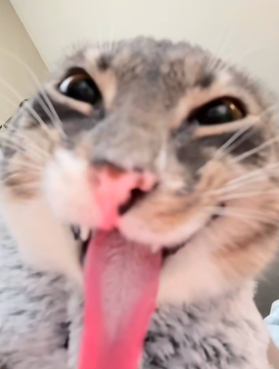 RIGBY