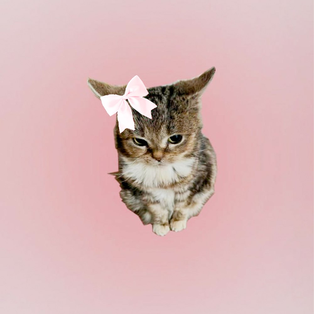 mochi