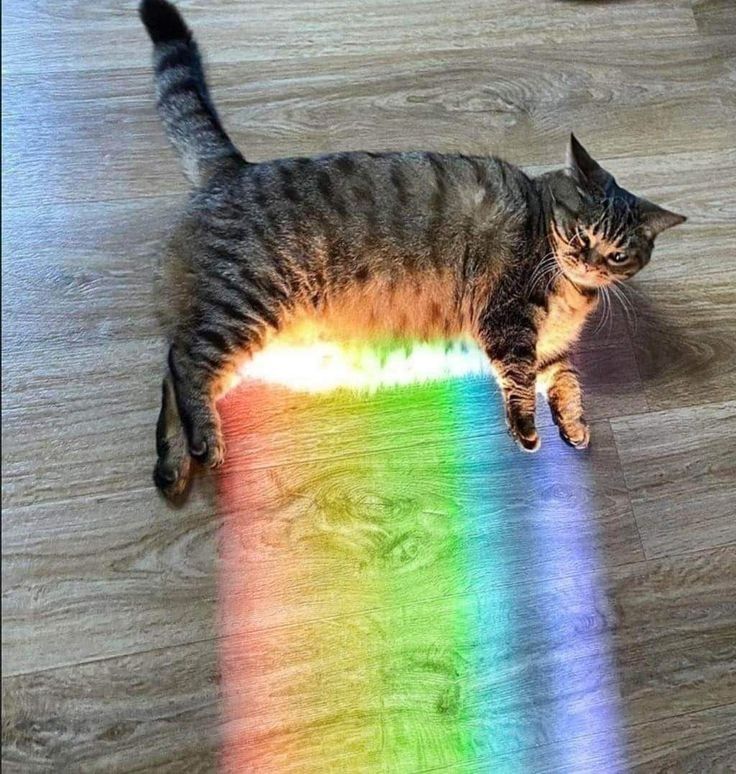 SBeam