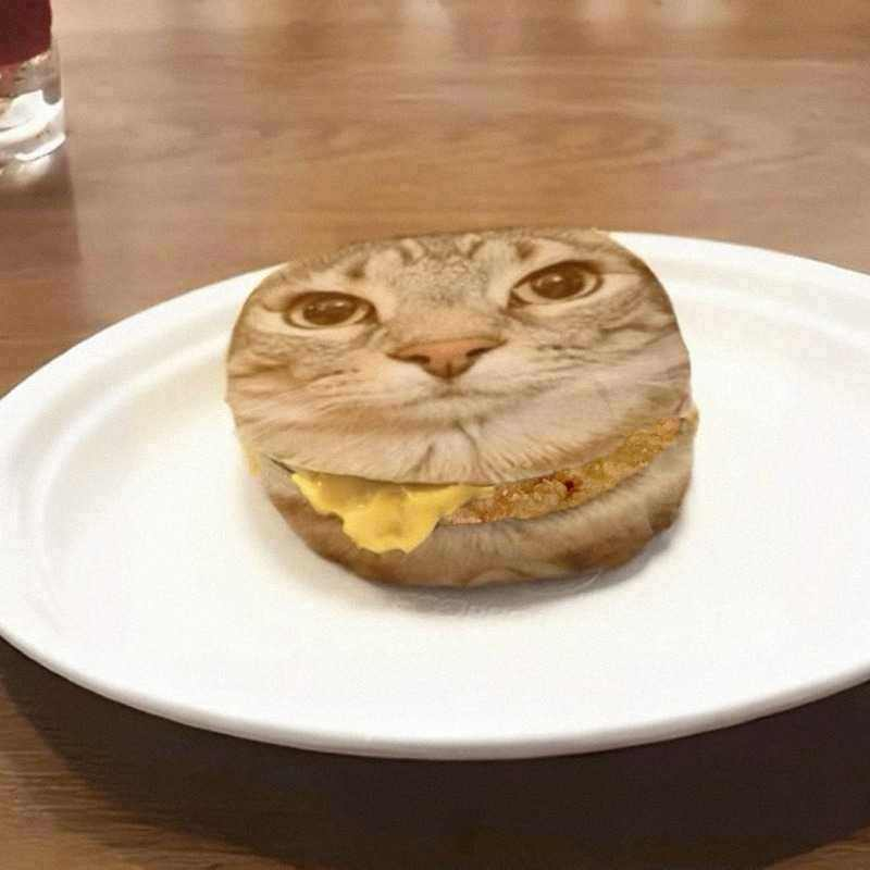 gatoburger
