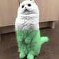 Pumpcat