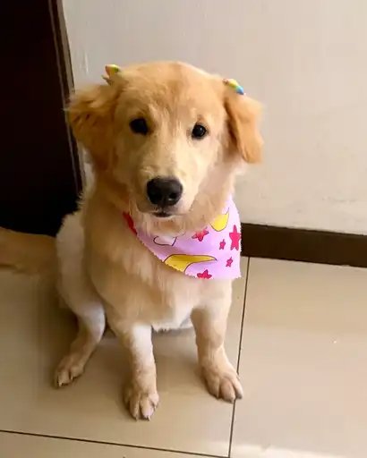 Bella
