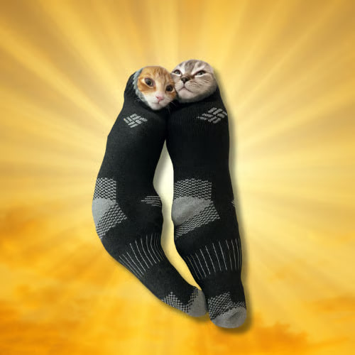 cocks