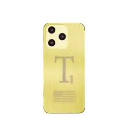 T1