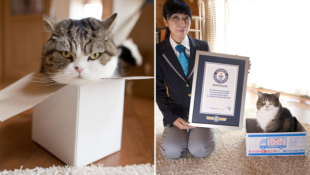 Maru