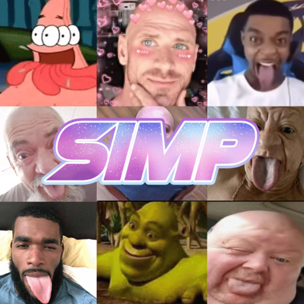 SIMP