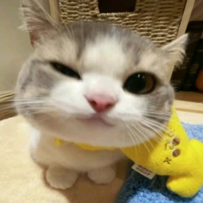 adorable
