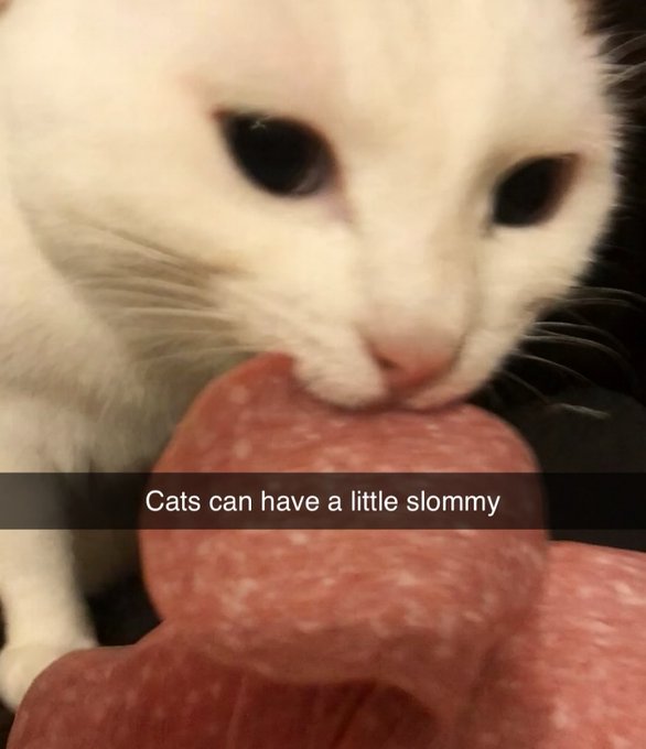 SLOMMY