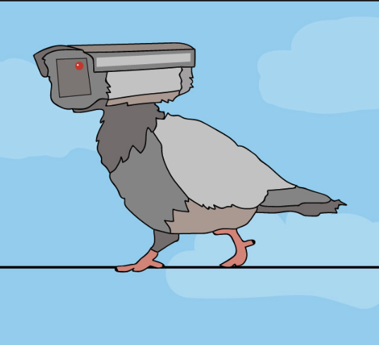 Birds