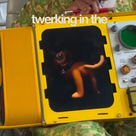 Twerkcoin