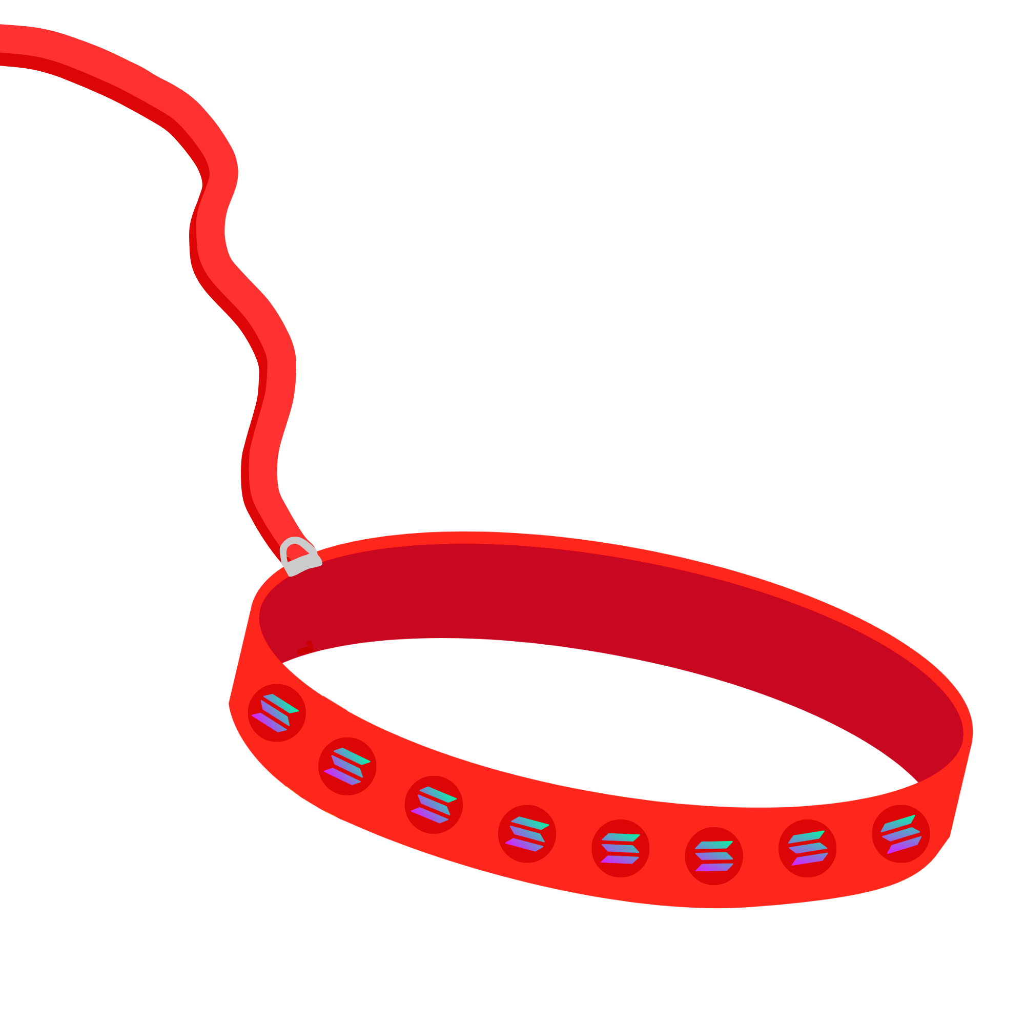 LEASH