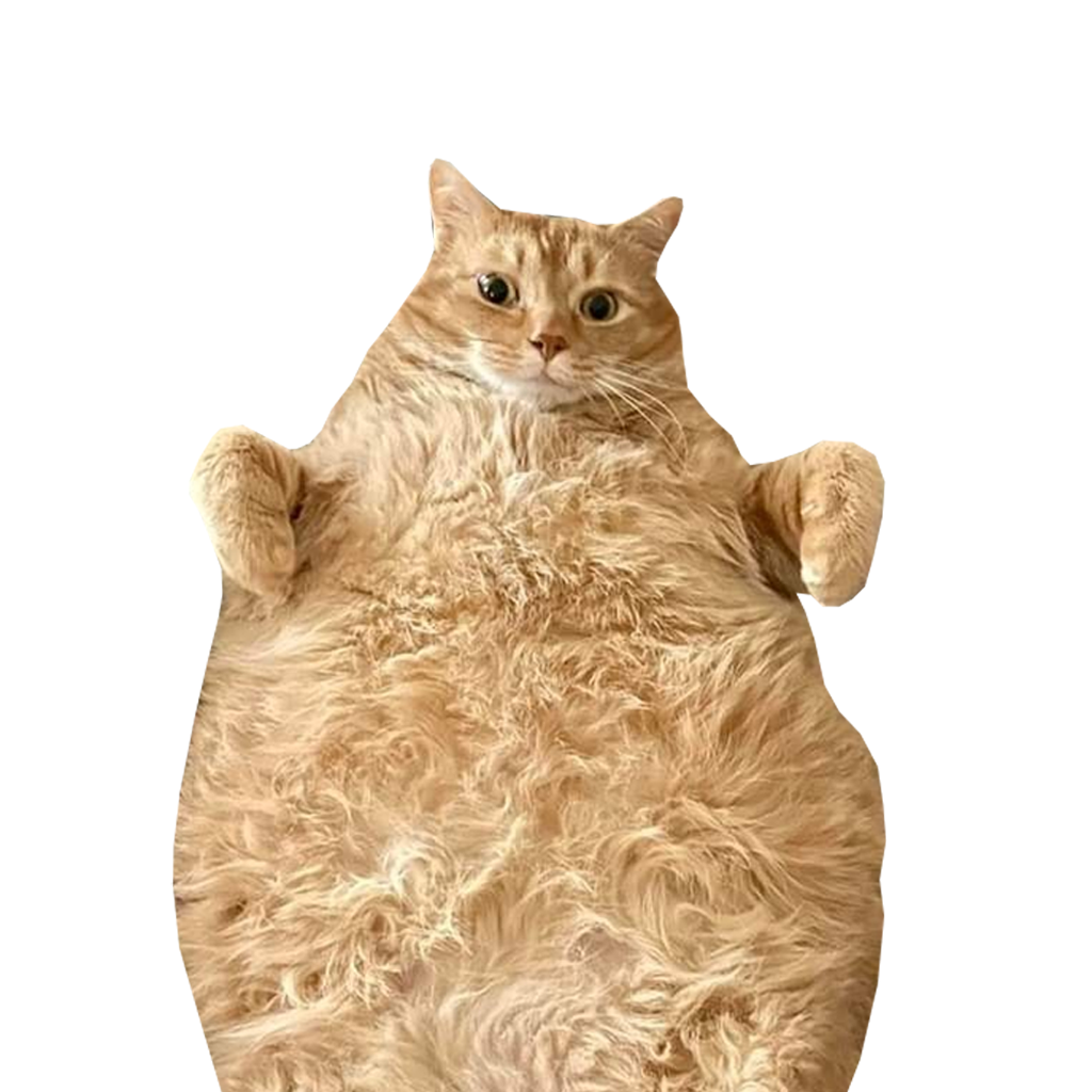 FatCat
