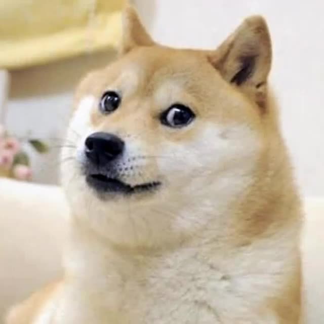 DOGECOIN