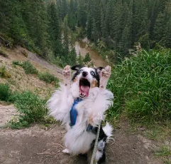 Milo