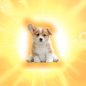 goodboy