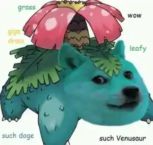 dogemon