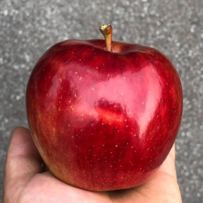 Gapple