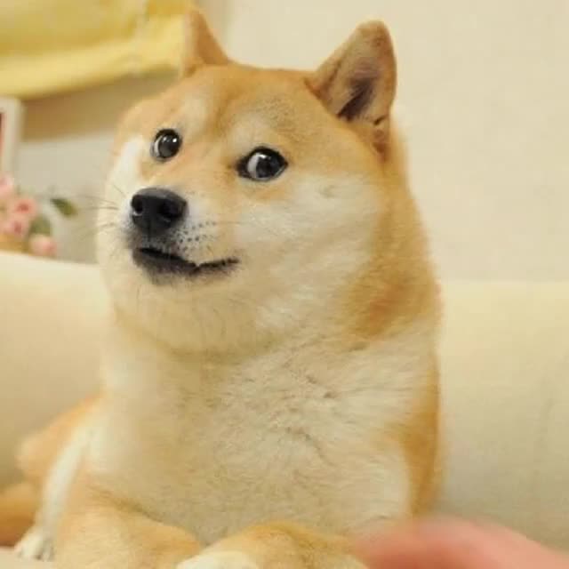 KABOSU