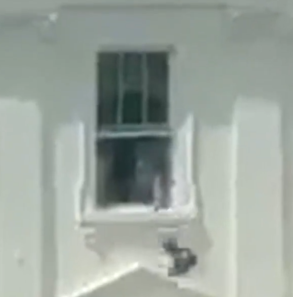 Window