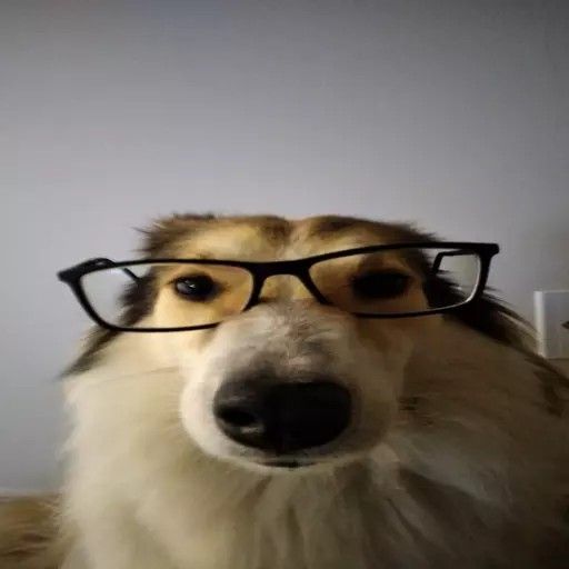 boi