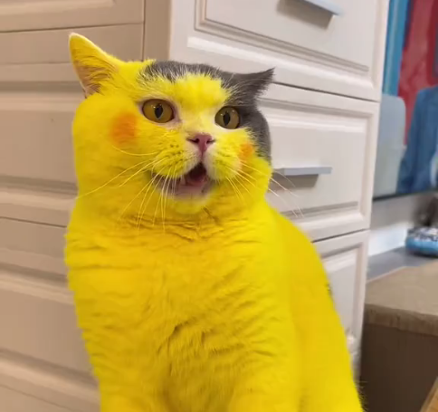 Picatchu