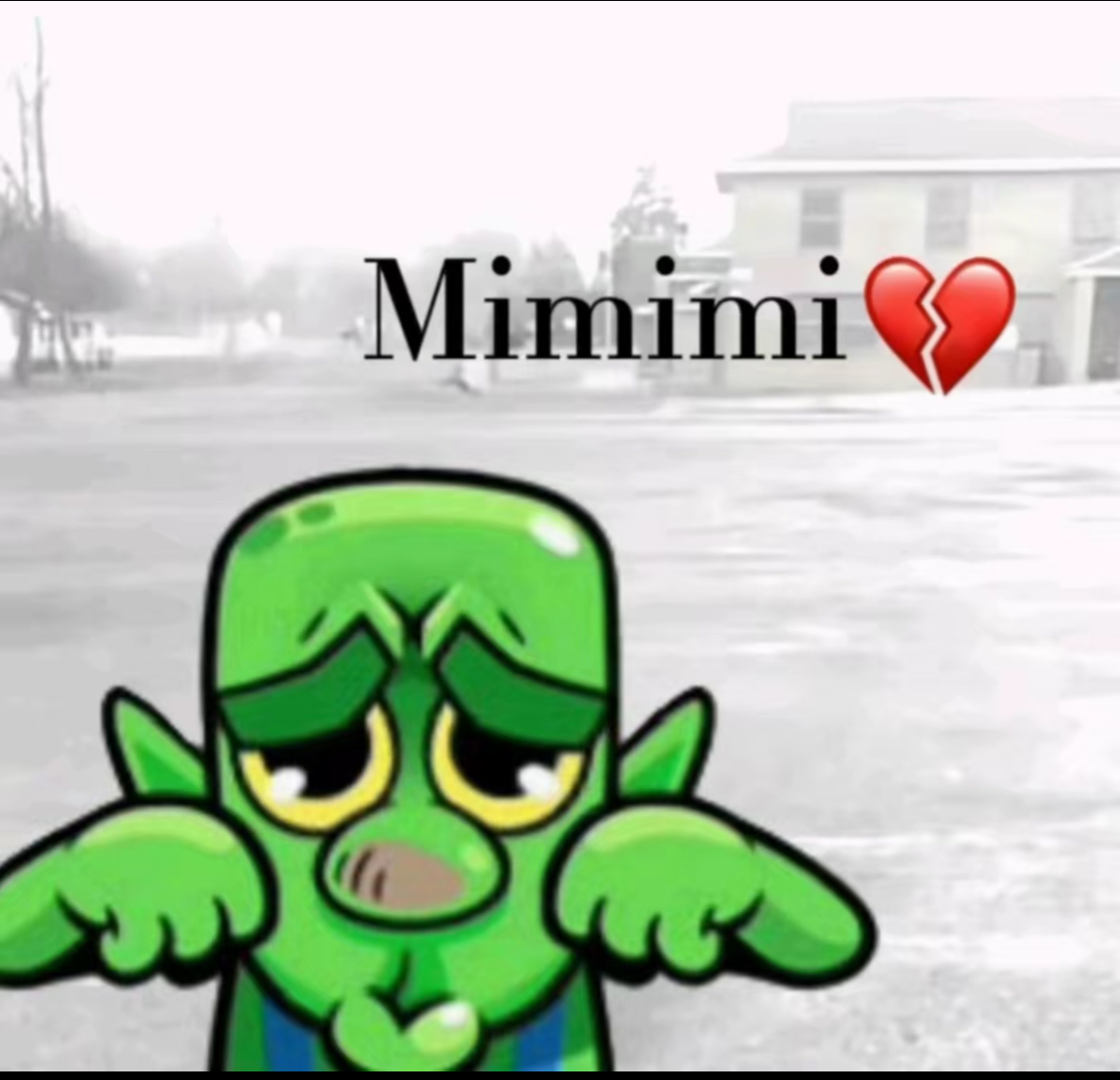 Mimimimi