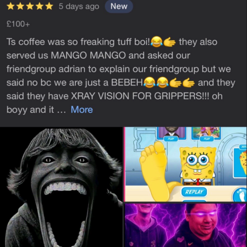 REVIEWS