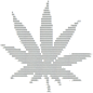 Cblogo