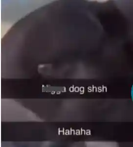 NIggaDog