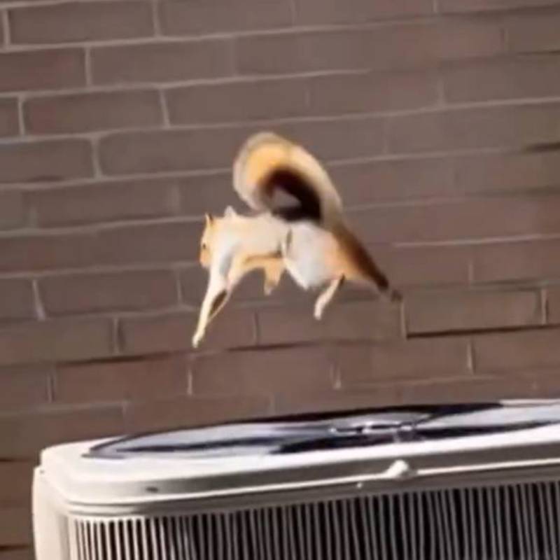 Parkour