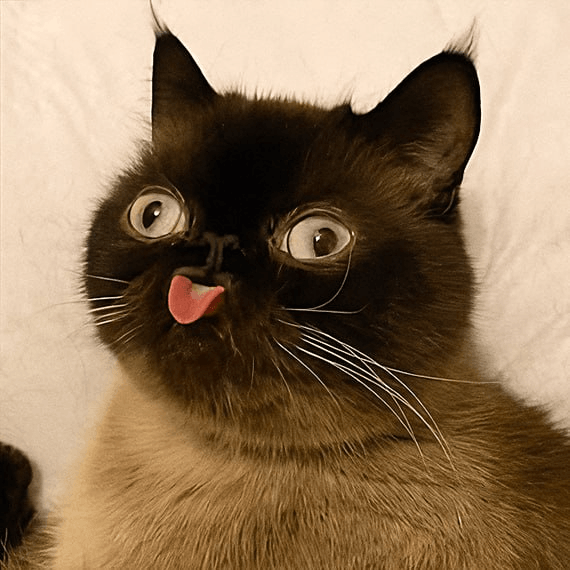 SLURP