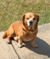 Franklin