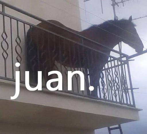 JUAN