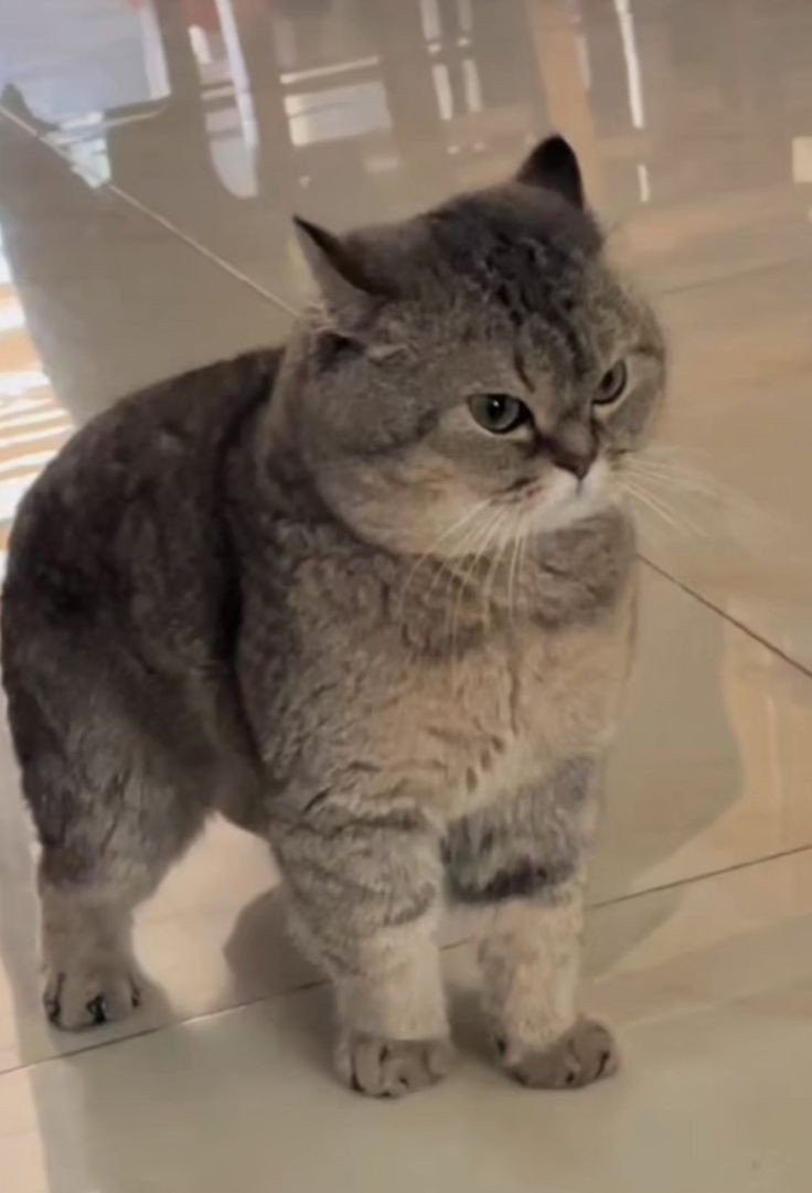 GRUMPY