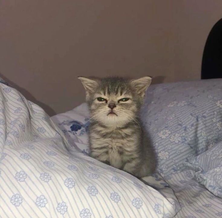 eepy