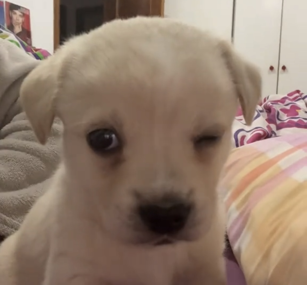 wink