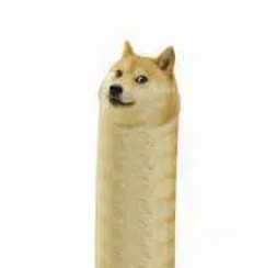 WIENERDOGE