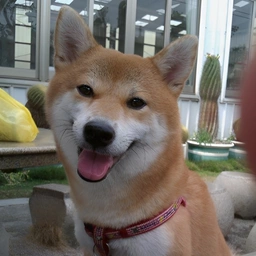 WINKY