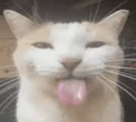 Silly